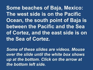 Some beaches of Baja, Mexico: The west side is on the Pacific Ocean, the south point of Baja is between the Pacific and the Sea of Cortez, and the east side is on the Sea of Cortez. Some of these slides are videos. Mouse over the slide until the white box shows up at the bottom. Click on the arrow at the bottom left side. 