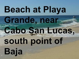 Beach at Playa Grande, near Cabo San Lucas, south point of Baja 
