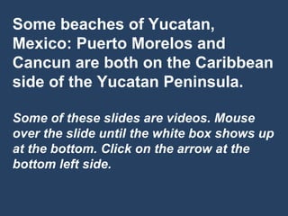 Some beaches of Yucatan, Mexico: Puerto Morelos and Cancun are both on the Caribbean side of the Yucatan Peninsula. Some of these slides are videos. Mouse over the slide until the white box shows up at the bottom. Click on the arrow at the bottom left side. 