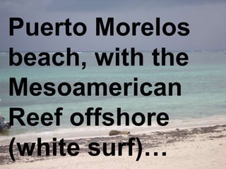 Puerto Morelos beach, with the Mesoamerican Reef offshore (white surf)… 
