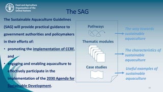 The Sustainable Aquaculture Guidelines Pptx