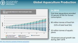 The Sustainable Aquaculture Guidelines Pptx