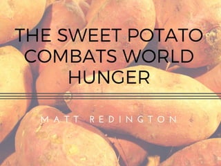 How World Hunger is Being Solved By the Sweet Potato