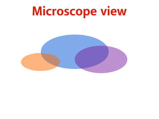 Microscope view 
 