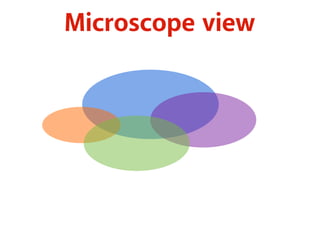 Microscope view 
 