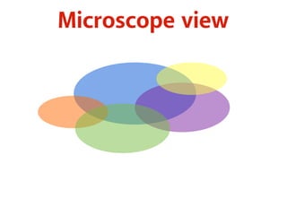 Microscope view 
 
