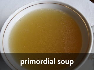 primordial soup 
 