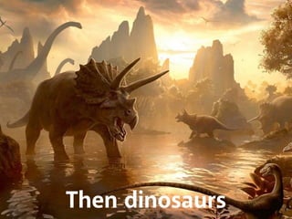 Then dinosaurs 
 