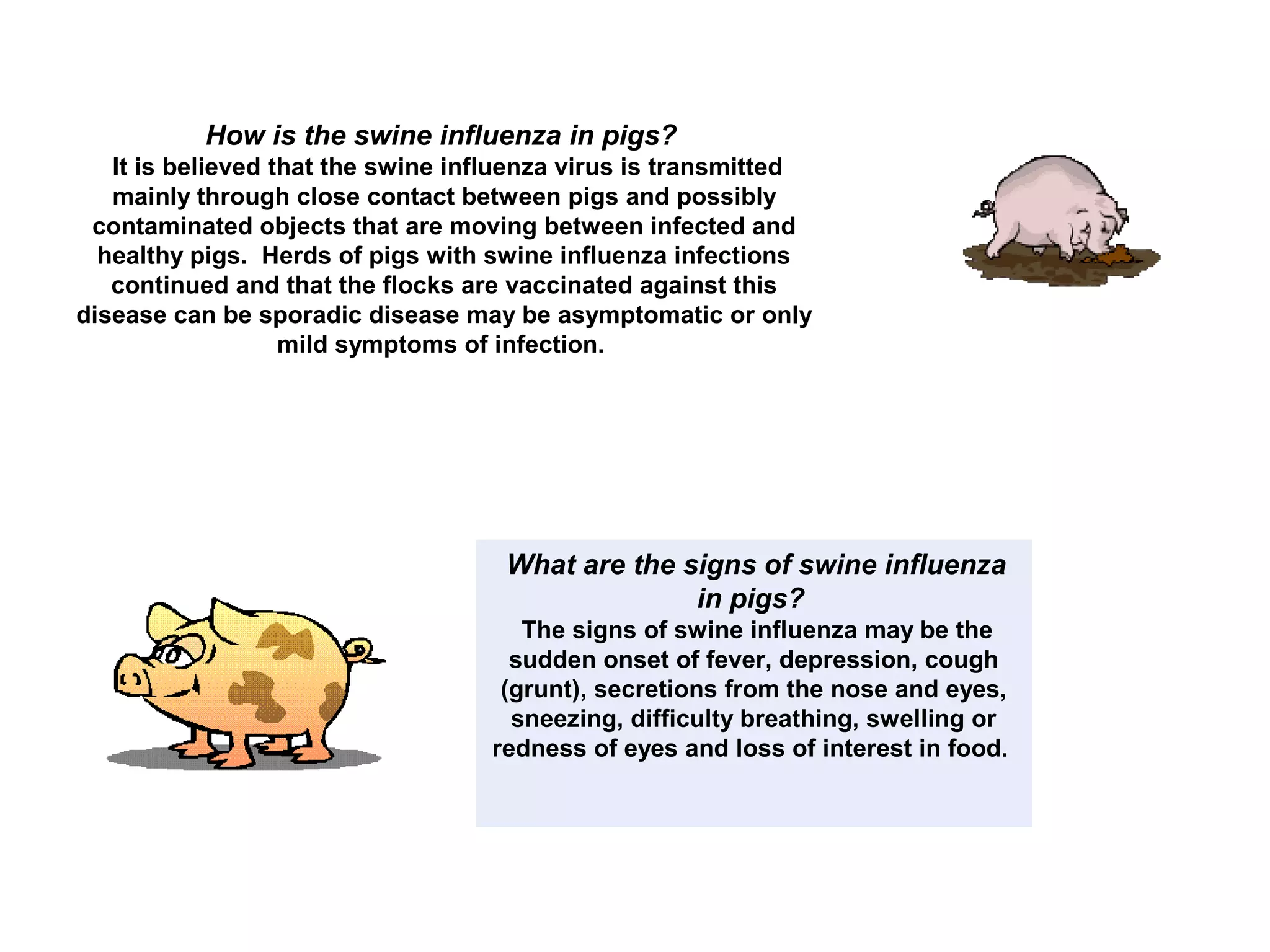 How is the swine influenza in pigs?
It is believed that the swine influenza virus is transmitted
mainly through close contact between pigs and possibly
contaminated objects that are moving between infected and
healthy pigs. Herds of pigs with swine influenza infections
continued and that the flocks are vaccinated against this
disease can be sporadic disease may be asymptomatic or only
mild symptoms of infection.
What are the signs of swine influenza
in pigs?
The signs of swine influenza may be the
sudden onset of fever, depression, cough
(grunt), secretions from the nose and eyes,
sneezing, difficulty breathing, swelling or
redness of eyes and loss of interest in food.
 