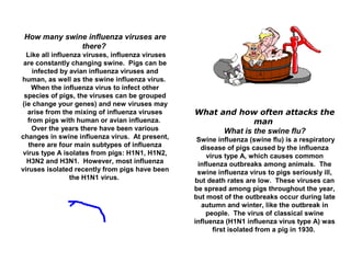 How many swine influenza viruses are
there?
Like all influenza viruses, influenza viruses
are constantly changing swine. Pigs can be
infected by avian influenza viruses and
human, as well as the swine influenza virus.
When the influenza virus to infect other
species of pigs, the viruses can be grouped
(ie change your genes) and new viruses may
arise from the mixing of influenza viruses
from pigs with human or avian influenza.
Over the years there have been various
changes in swine influenza virus. At present,
there are four main subtypes of influenza
virus type A isolates from pigs: H1N1, H1N2,
H3N2 and H3N1. However, most influenza
viruses isolated recently from pigs have been
the H1N1 virus.
What and how often attacks the
man
What is the swine flu?
Swine influenza (swine flu) is a respiratory
disease of pigs caused by the influenza
virus type A, which causes common
influenza outbreaks among animals. The
swine influenza virus to pigs seriously ill,
but death rates are low. These viruses can
be spread among pigs throughout the year,
but most of the outbreaks occur during late
autumn and winter, like the outbreak in
people. The virus of classical swine
influenza (H1N1 influenza virus type A) was
first isolated from a pig in 1930.
 
