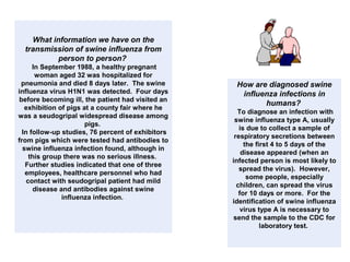 What information we have on the
transmission of swine influenza from
person to person?
In September 1988, a healthy pregnant
woman aged 32 was hospitalized for
pneumonia and died 8 days later. The swine
influenza virus H1N1 was detected. Four days
before becoming ill, the patient had visited an
exhibition of pigs at a county fair where he
was a seudogripal widespread disease among
pigs.
In follow-up studies, 76 percent of exhibitors
from pigs which were tested had antibodies to
swine influenza infection found, although in
this group there was no serious illness.
Further studies indicated that one of three
employees, healthcare personnel who had
contact with seudogripal patient had mild
disease and antibodies against swine
influenza infection.
How are diagnosed swine
influenza infections in
humans?
To diagnose an infection with
swine influenza type A, usually
is due to collect a sample of
respiratory secretions between
the first 4 to 5 days of the
disease appeared (when an
infected person is most likely to
spread the virus). However,
some people, especially
children, can spread the virus
for 10 days or more. For the
identification of swine influenza
virus type A is necessary to
send the sample to the CDC for
laboratory test.
 