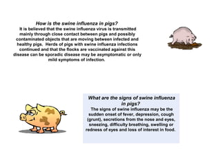 How is the swine influenza in pigs?
It is believed that the swine influenza virus is transmitted
mainly through close contact between pigs and possibly
contaminated objects that are moving between infected and
healthy pigs. Herds of pigs with swine influenza infections
continued and that the flocks are vaccinated against this
disease can be sporadic disease may be asymptomatic or only
mild symptoms of infection.
What are the signs of swine influenza
in pigs?
The signs of swine influenza may be the
sudden onset of fever, depression, cough
(grunt), secretions from the nose and eyes,
sneezing, difficulty breathing, swelling or
redness of eyes and loss of interest in food.
 