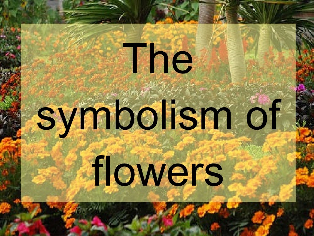 The symbolism of flowers