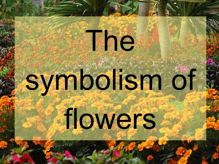 The symbolism of flowers
