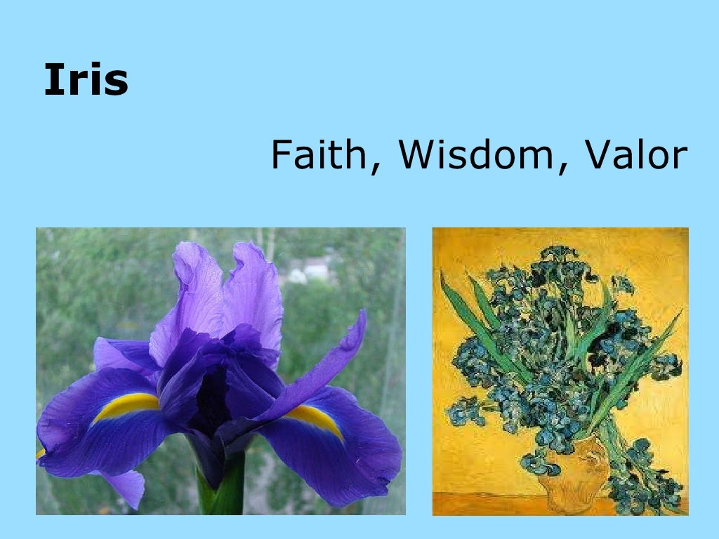 The symbolism of flowers