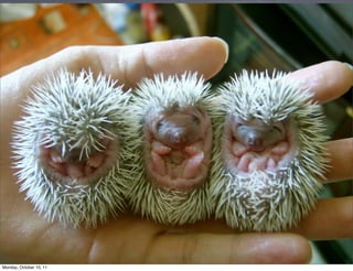 Monday, October 10, 11
 