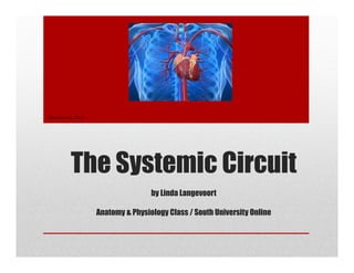 The Systemic Circuit
by Linda Langevoort
Anatomy & Physiology Class / South University Online
(Buzzle.com, 2011)
 