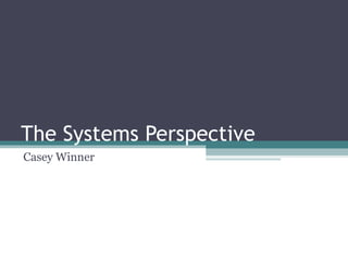 The Systems Perspective Casey Winner 