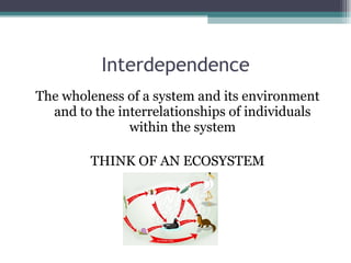 The Systems Perspective | PPT