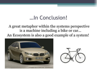 The Systems Perspective | PPT