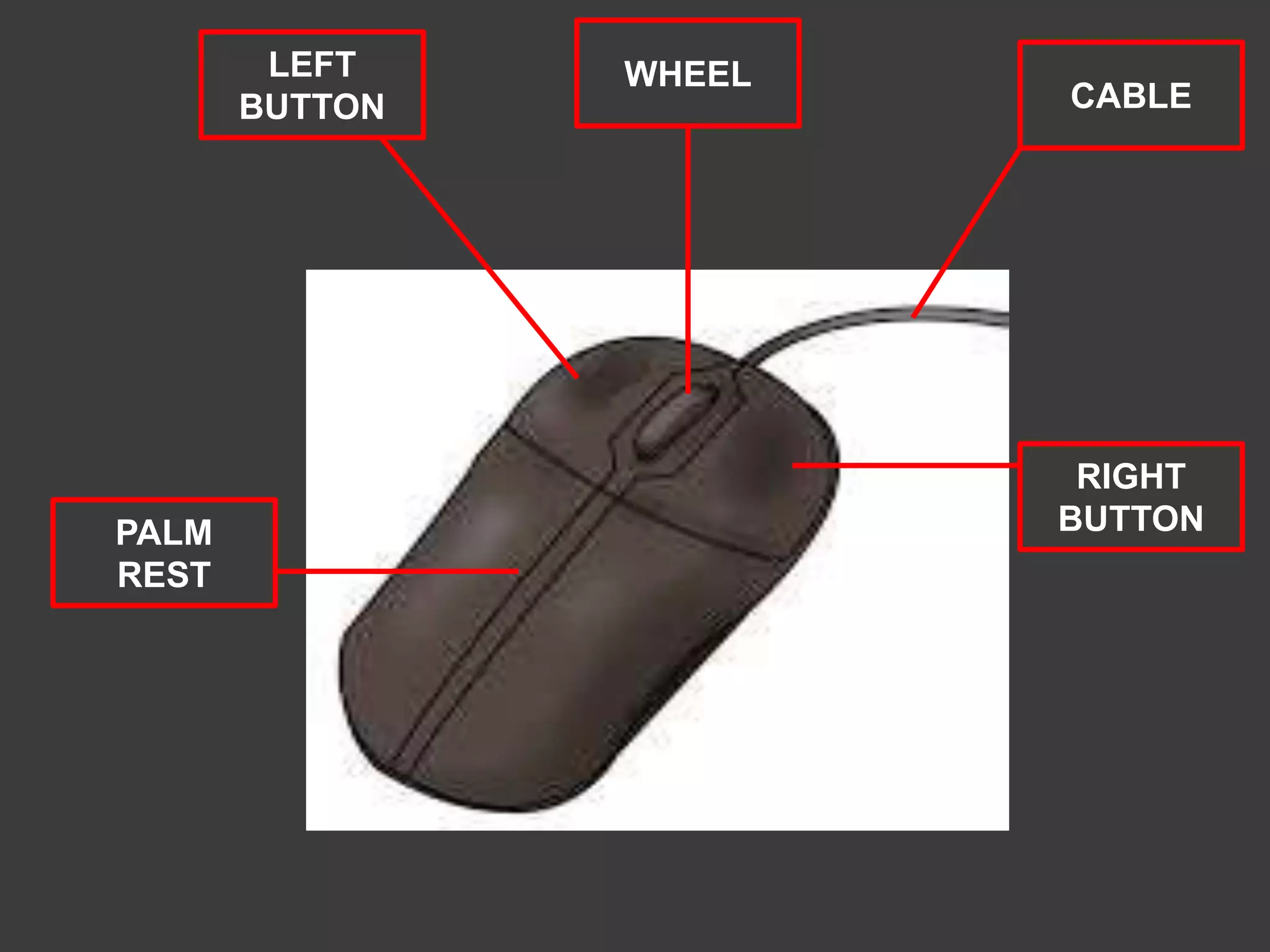 PALM
REST
LEFT
BUTTON
WHEEL
CABLE
RIGHT
BUTTON
 