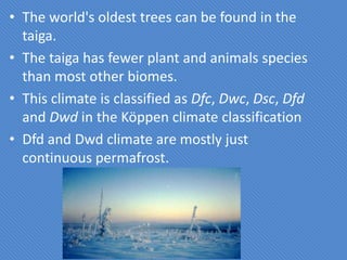 • The world's oldest trees can be found in the
  taiga.
• The taiga has fewer plant and animals species
  than most other biomes.
• This climate is classified as Dfc, Dwc, Dsc, Dfd
  and Dwd in the Köppen climate classification
• Dfd and Dwd climate are mostly just
  continuous permafrost.
 