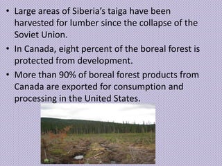 • Large areas of Siberia’s taiga have been
  harvested for lumber since the collapse of the
  Soviet Union.
• In Canada, eight percent of the boreal forest is
  protected from development.
• More than 90% of boreal forest products from
  Canada are exported for consumption and
  processing in the United States.
 