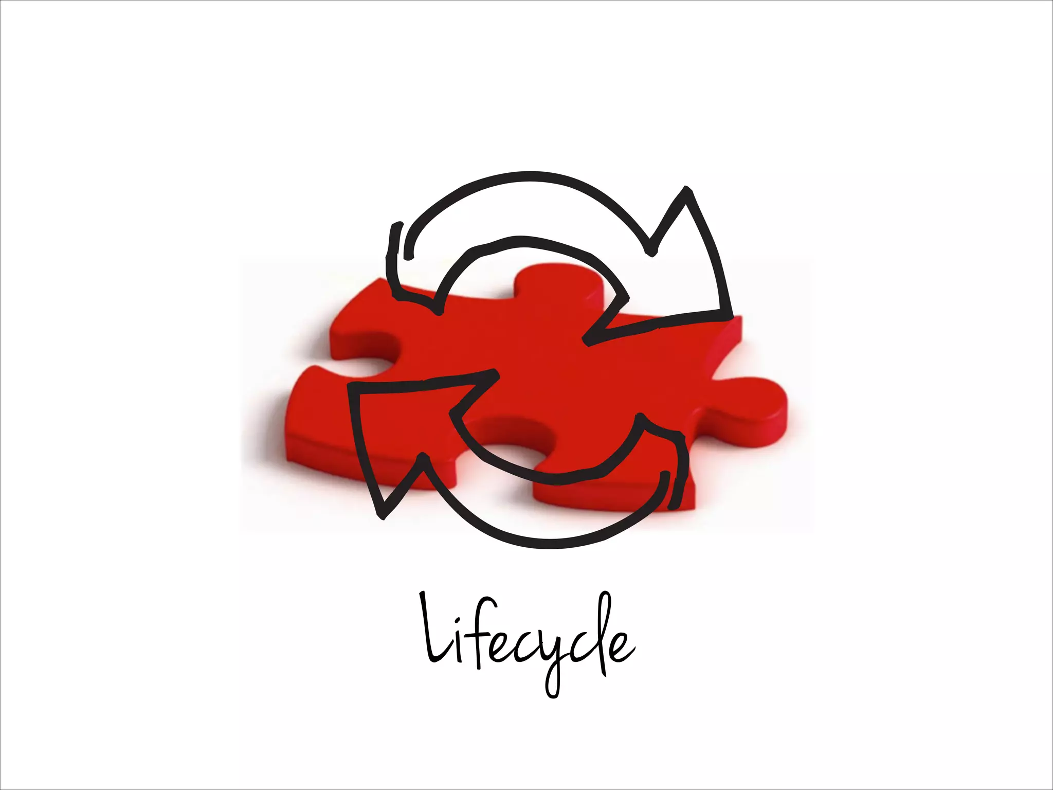 Lifecycle
 