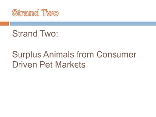 Strand TwoStrand Two:Surplus Animals from Consumer Driven Pet Markets <br />