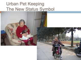 Urban Pet Keeping The New Status Symbol<br />