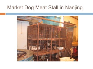 Market Dog Meat Stall in Nanjing<br />