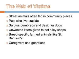 The Web of Victims <br />Street animals often fed in community places<br />Pets who live outside<br />Surplus purebreds an...