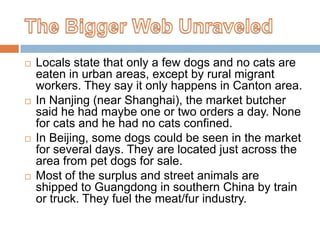 The Bigger Web Unraveled <br />Locals state that only a few dogs and no cats are eaten in urban areas, except by rural mig...