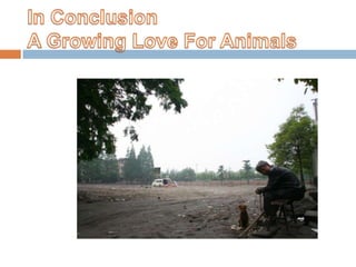 In ConclusionA Growing Love For Animals<br />