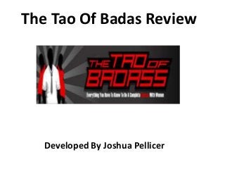 The Tao Of Badas Review
Developed By Joshua Pellicer
 
