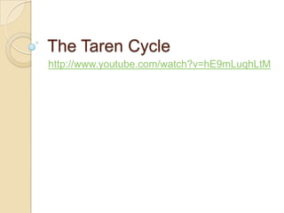 The Taren Cycle
http://www.youtube.com/watch?v=hE9mLuqhLtM

 