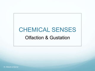 CHEMICAL SENSES
Olfaction & Gustation
Dr. Misbah-ul-Qamar
 