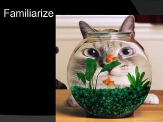 Familiarize
 