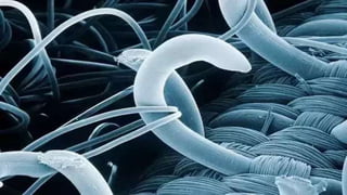 What customers do today
 