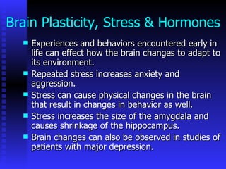 Brain Plasticity, Stress & Hormones Experiences and behaviors encountered early in life can effect how the brain changes to adapt to its environment.  Repeated stress increases anxiety and aggression. Stress can cause physical changes in the brain that result in changes in behavior as well.  Stress increases the size of the amygdala and causes shrinkage of the hippocampus.  Brain changes can also be observed in studies of patients with major depression.  