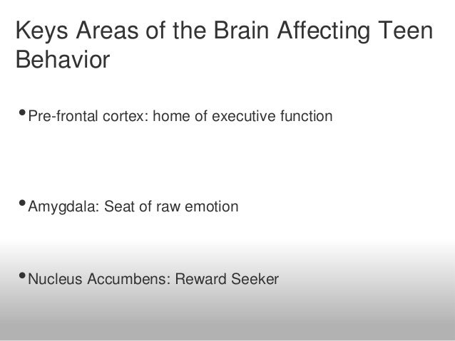 The Adolescent Brain Why Executive >> The Teenage Brain The Adolescent Brain Why Executive >> The Teenage Brain