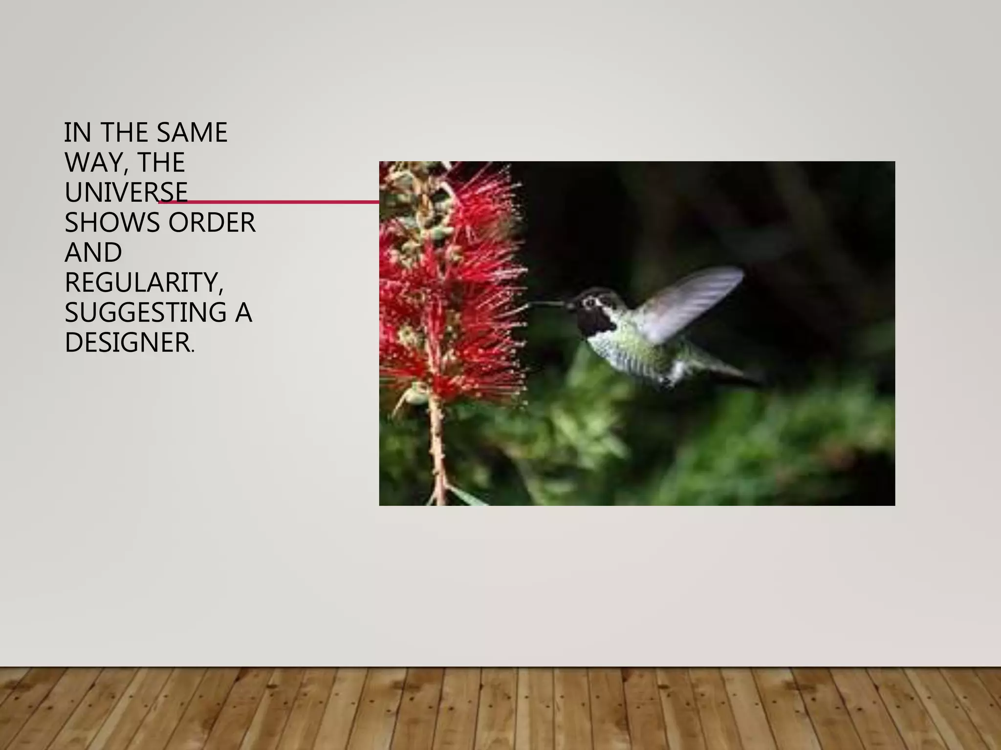 IN THE SAME
WAY, THE
UNIVERSE
SHOWS ORDER
AND
REGULARITY,
SUGGESTING A
DESIGNER.
 