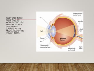PALEY SAID IN THE
SAME WAY, WE
WOULD CONCLUDE
THERE MUST BE A
DESIGNER BY
LOOKING AT THE
MECHANICS OF THE
HUMAN BODY…
 