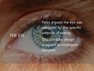 THE EYE
• Paley argued the eye was
designed for the specific
purpose of seeing.
• This complex design
suggests an intelligent
designer.
 