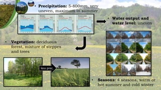 • Vegetation: deciduous
forest, mixture of steppes
and trees
less prec.
• Seasons: 4 seasons, warm or
hot summer and cold winter
• Precipitation: 5-800mm, very
uneven, maximum in summer
• Water output and
water level: uneven
 