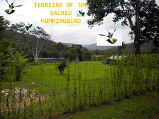 TERREIRO OF THE SACRED HUMMINGBIRD 