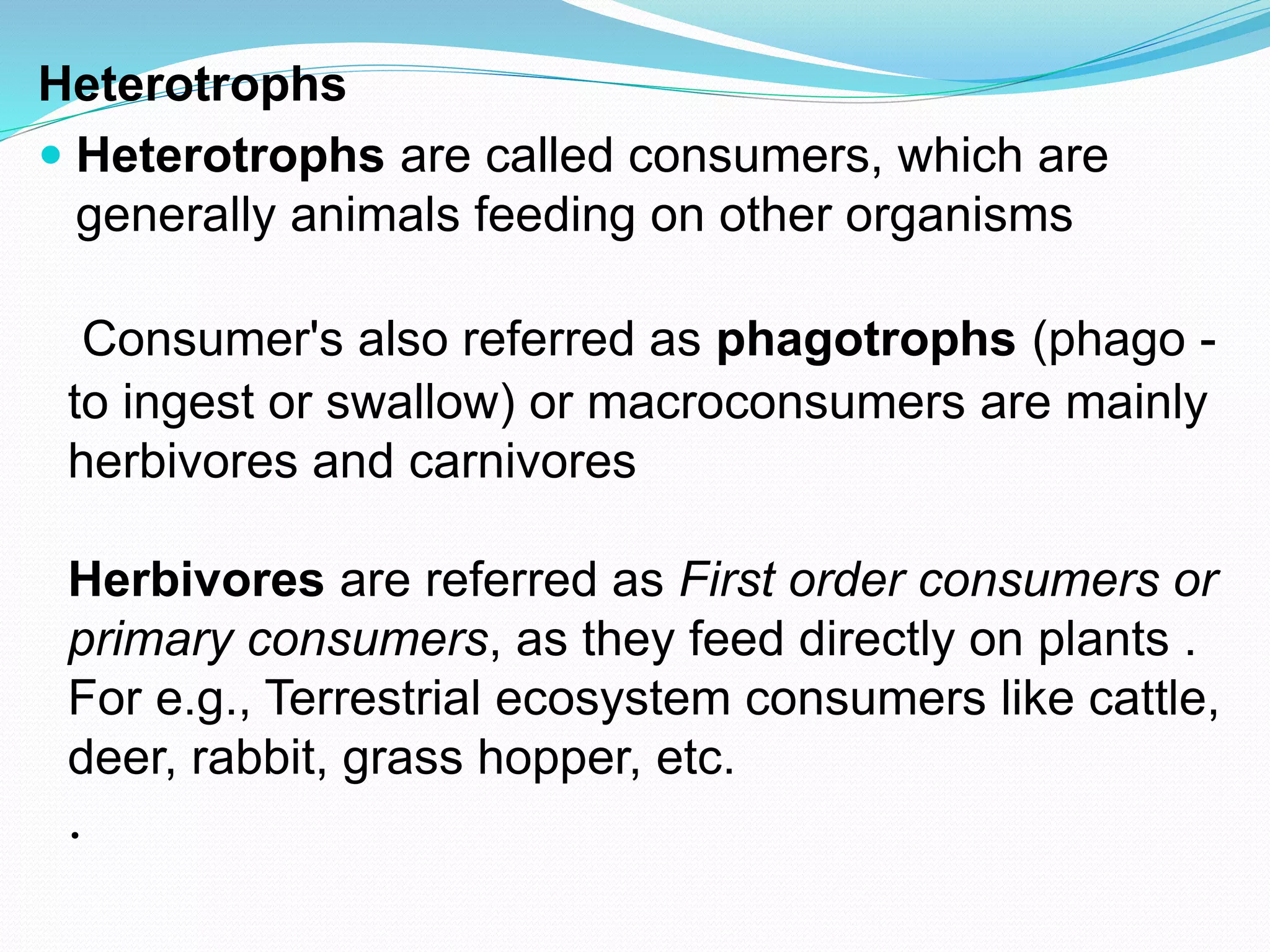The terrestrial habitat | PPTX