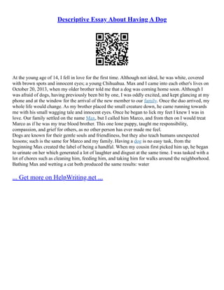 Descriptive Essay About Having A Dog
At the young age of 14, I fell in love for the first time. Although not ideal, he was white, covered
with brown spots and innocent eyes; a young Chihuahua. Max and I came into each other's lives on
October 20, 2013, when my older brother told me that a dog was coming home soon. Although I
was afraid of dogs, having previously been bit by one, I was oddly excited, and kept glancing at my
phone and at the window for the arrival of the new member to our family. Once the duo arrived, my
whole life would change. As my brother placed the small creature down, he came running towards
me with his small wagging tale and innocent eyes. Once he began to lick my feet I knew I was in
love. Our family settled on the name Max, but I called him Marco, and from then on I would treat
Marco as if he was my true blood brother. This one lone puppy, taught me responsibility,
compassion, and grief for others, as no other person has ever made me feel.
Dogs are known for their gentle souls and friendliness, but they also teach humans unexpected
lessons; such is the same for Marco and my family. Having a dog is no easy task, from the
beginning Max created the label of being a handful. When my cousin first picked him up, he began
to urinate on her which generated a lot of laughter and disgust at the same time. I was tasked with a
lot of chores such as cleaning him, feeding him, and taking him for walks around the neighborhood.
Bathing Max and wetting a cat both produced the same results: water
... Get more on HelpWriting.net ...
 