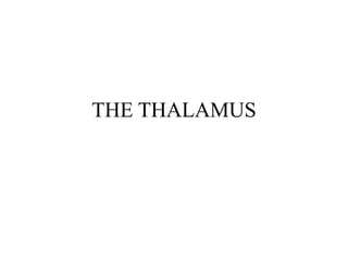 THE THALAMUS
 