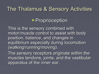 HIS 120 The Thalamus and Sensory Activities | PPT